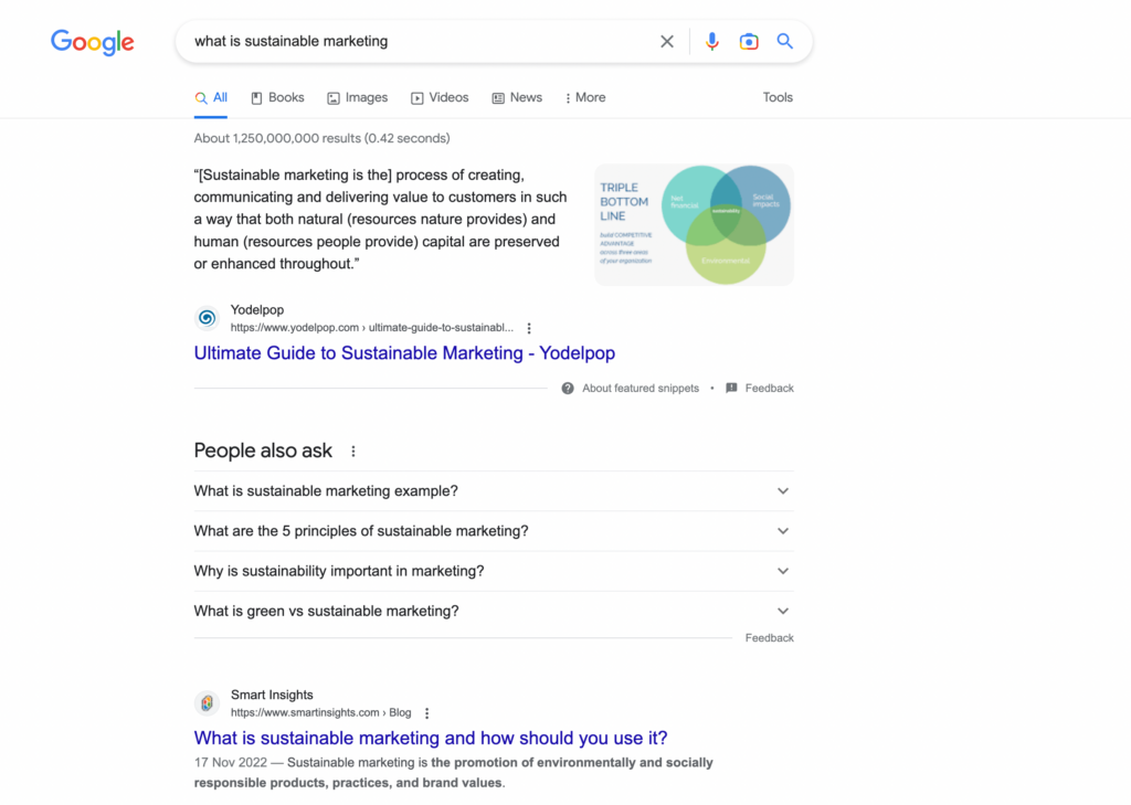 What is sustainable marketing - search result-min