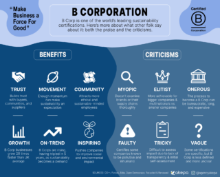 What Is B Corp Certification? Criticisms & Benefits | 2024 Guide