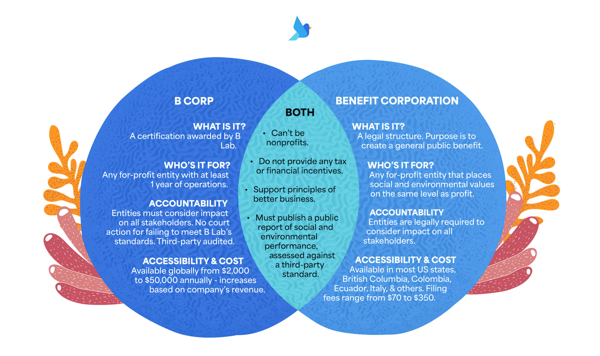 Alternatives To B Corp Certification | 2024 Guide