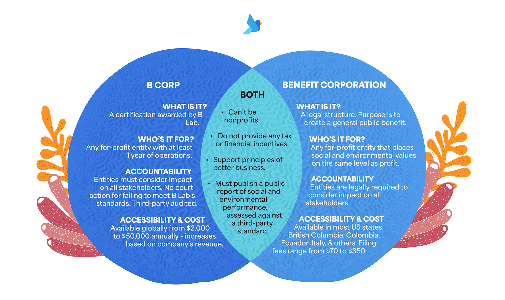 B Corp vs Benefit Corporation Venn Diagram Akepa-min