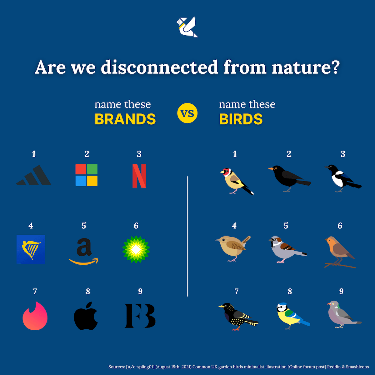 Brands vs. Birds-min