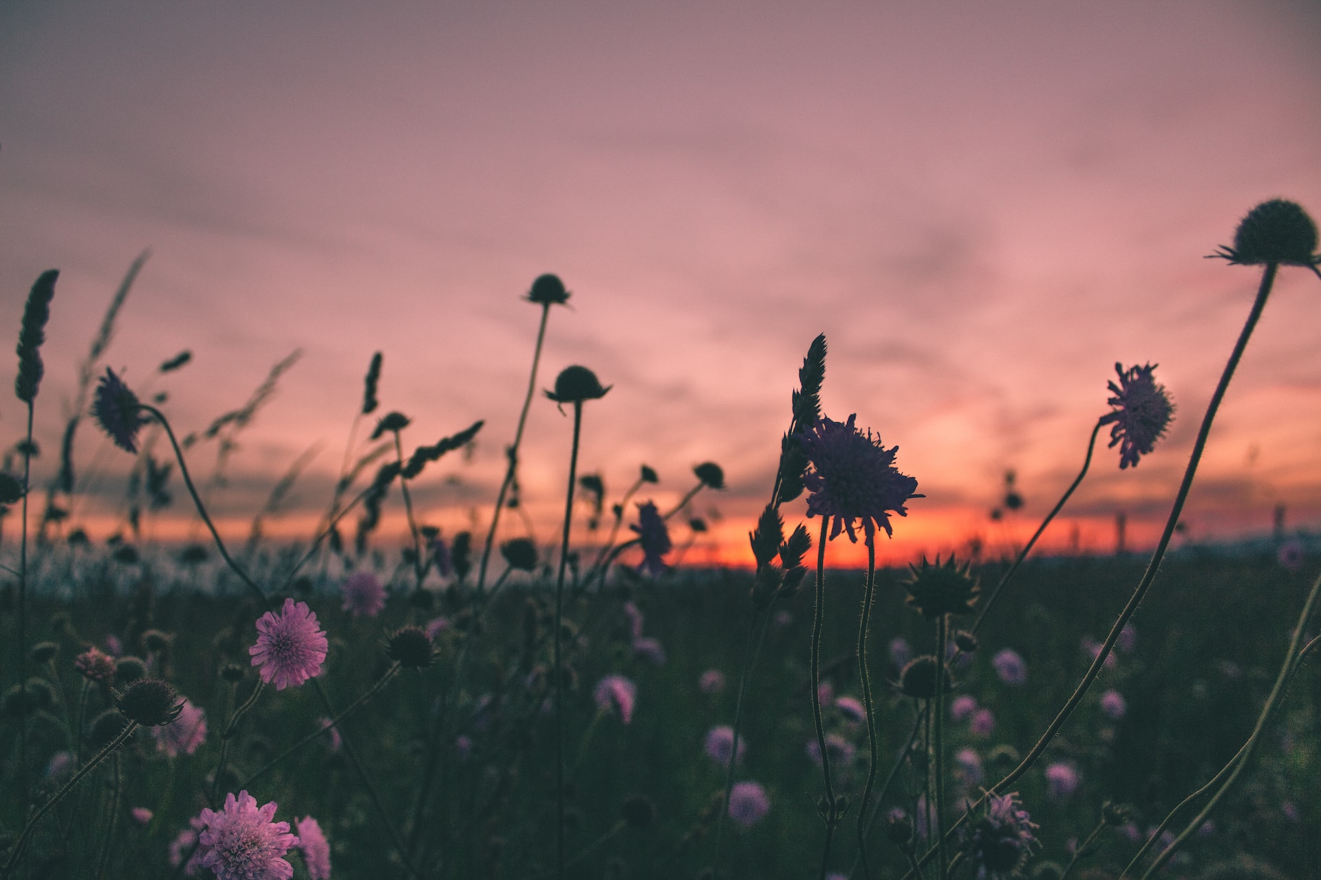Best-Sustainability-Marketing-Agencies-2022 & 2023 Guide