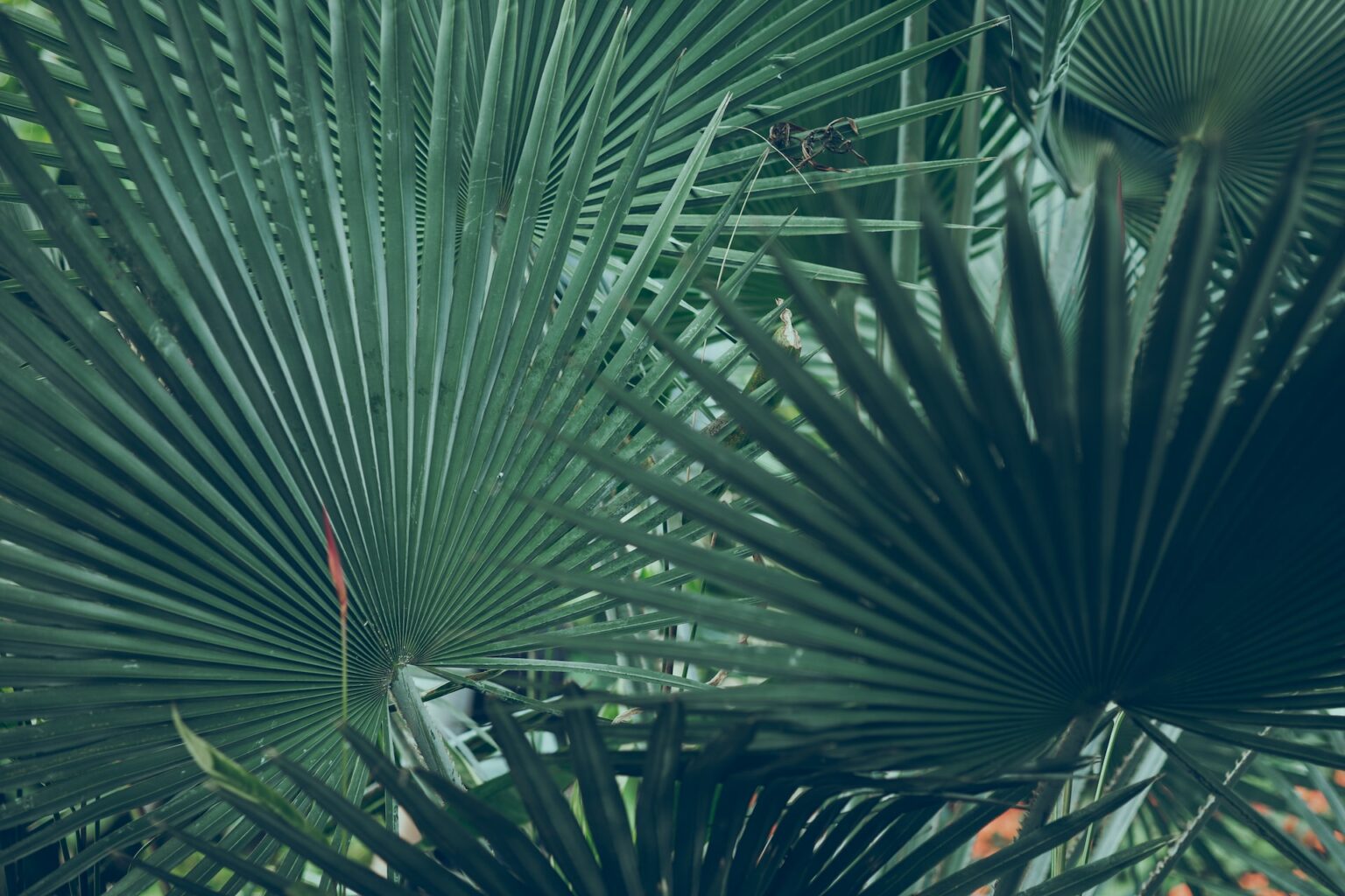 Sustainable Fashion Marketing Campaigns | 2026 Examples & Ideas