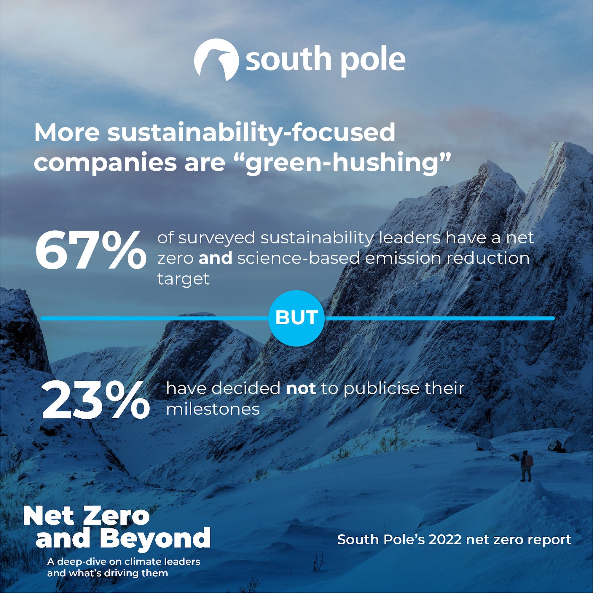 What is greenhushing? Meaning & definition | Akepa - South Pole report 2022 net zero targets