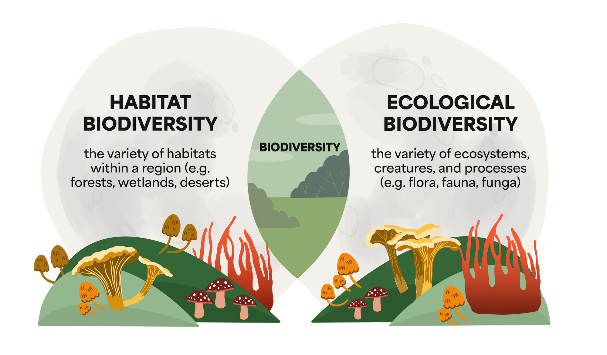 What does biodiversity mean - venn diagram Akepa