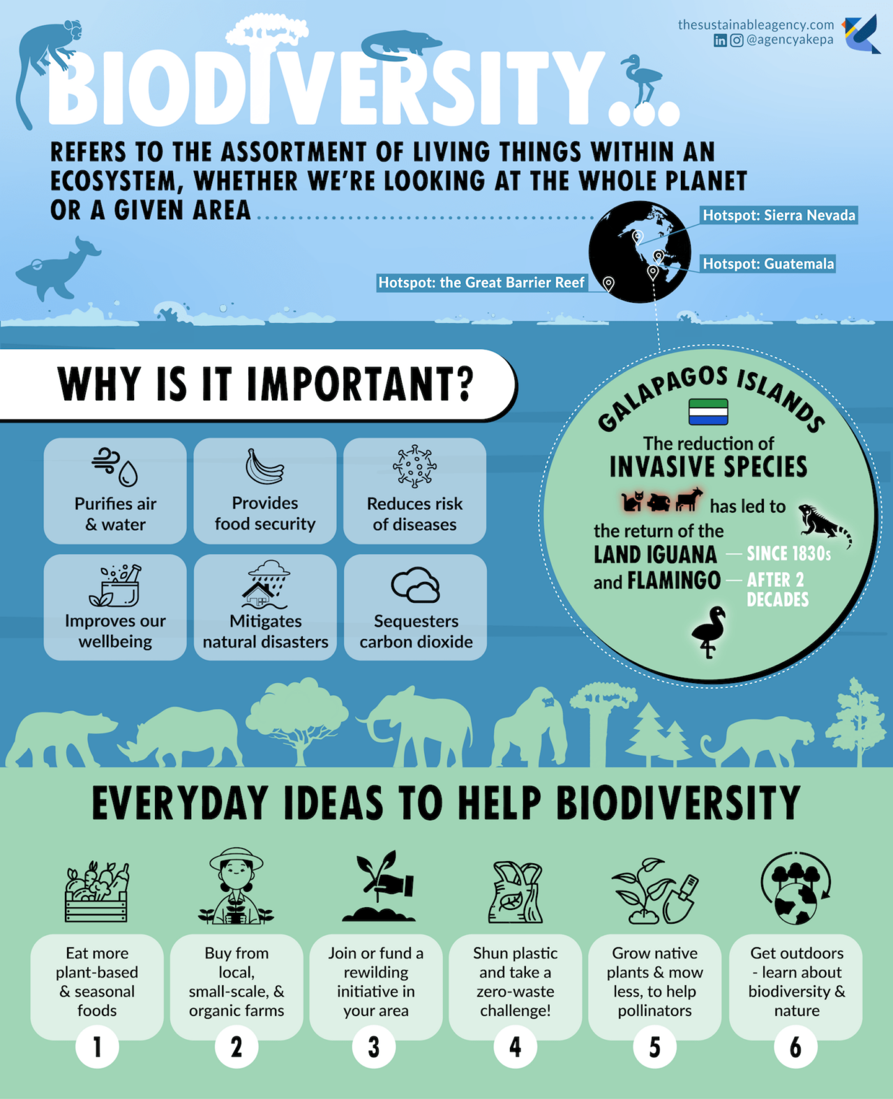 What does biodiversity mean & why is biodiversity important? 2023