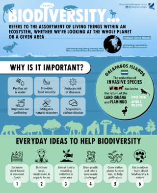 What does biodiversity mean & why is biodiversity important?