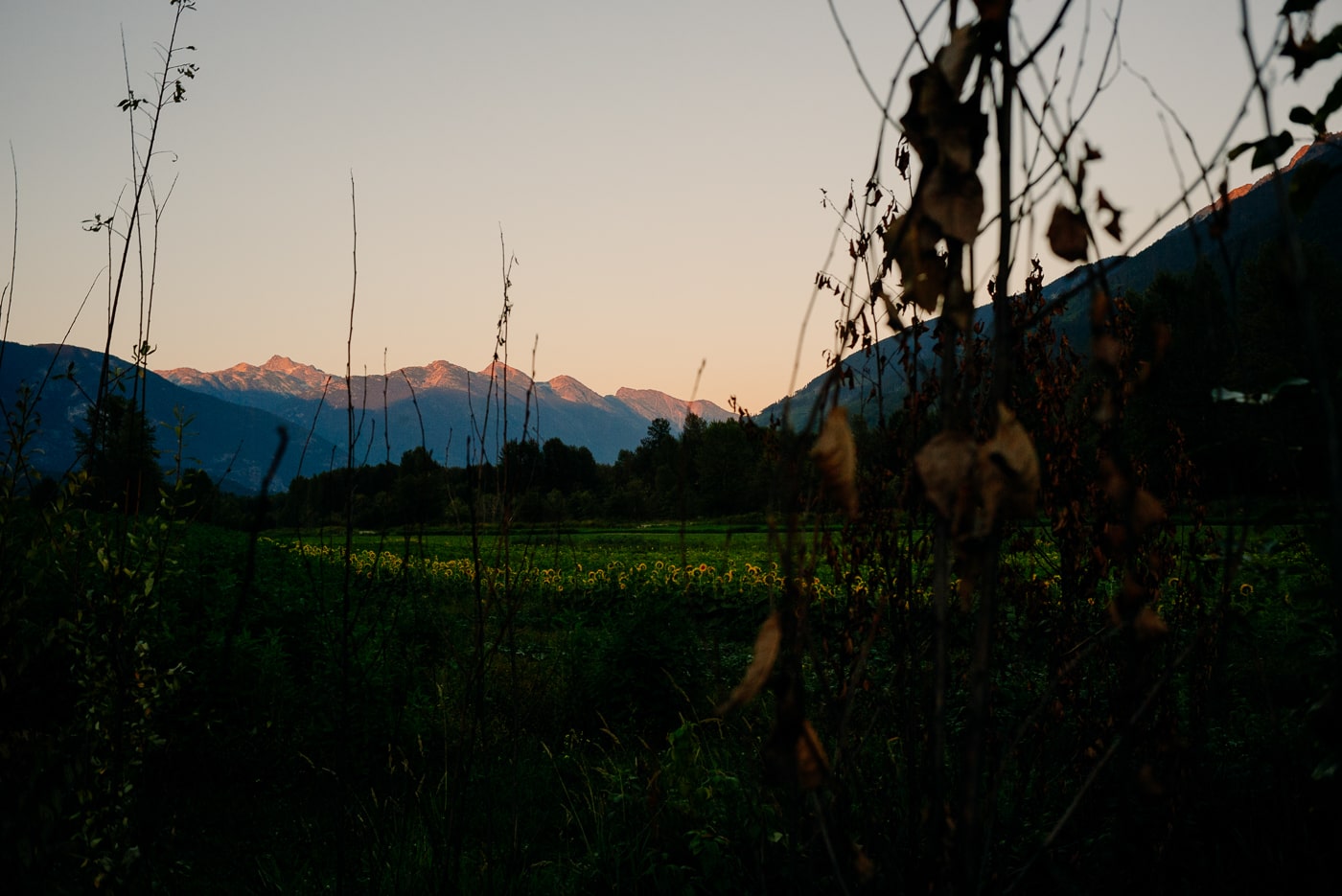 Alpenglow in Pemberton, BC