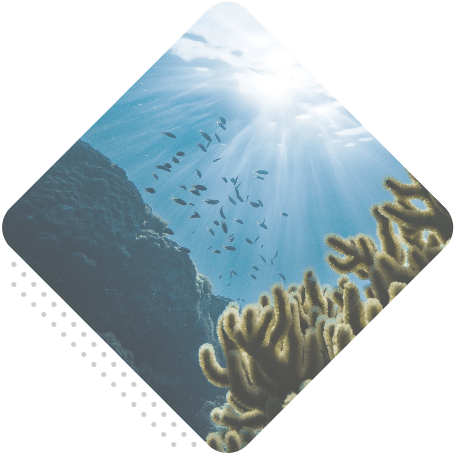 Akepa sustainability_Ocean protection-min