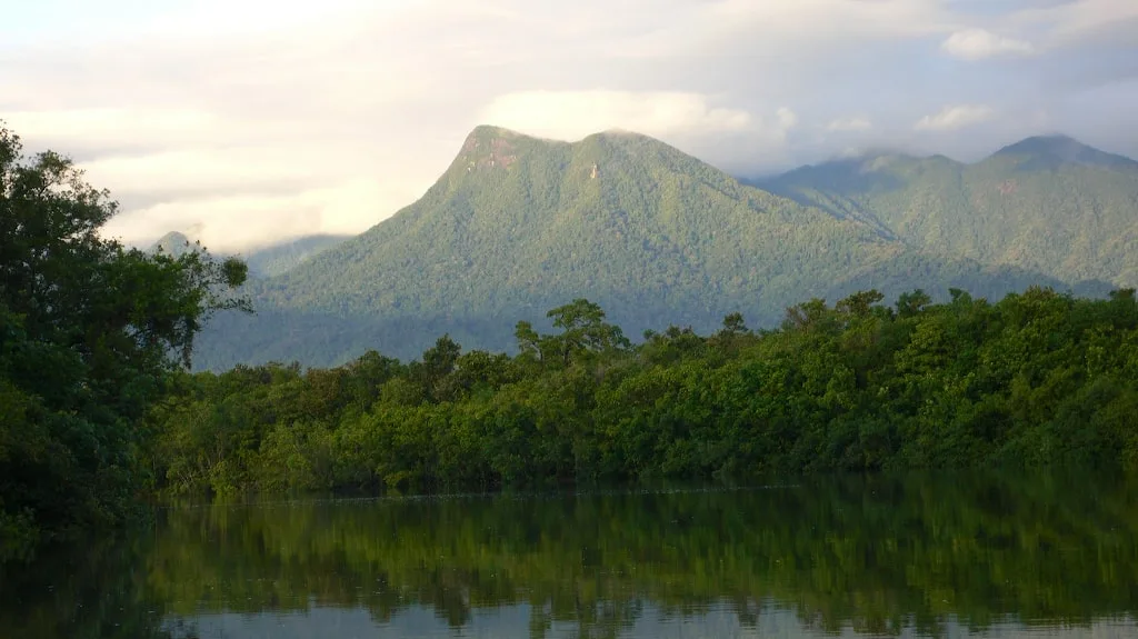 Daintree Rainforest and environmental conservation
