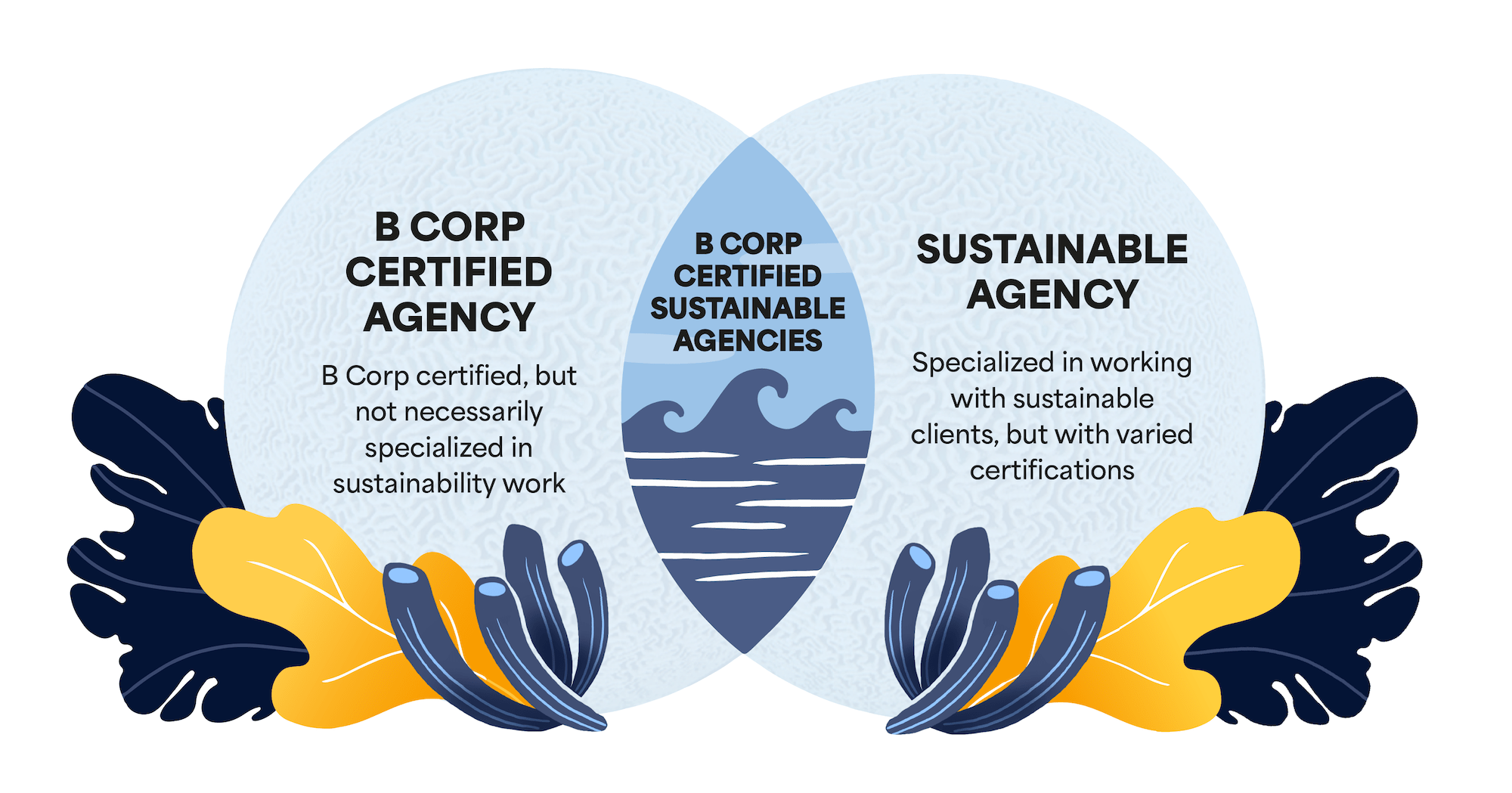 B Corp Marketing Agency vs Sustainable Marketing Agency