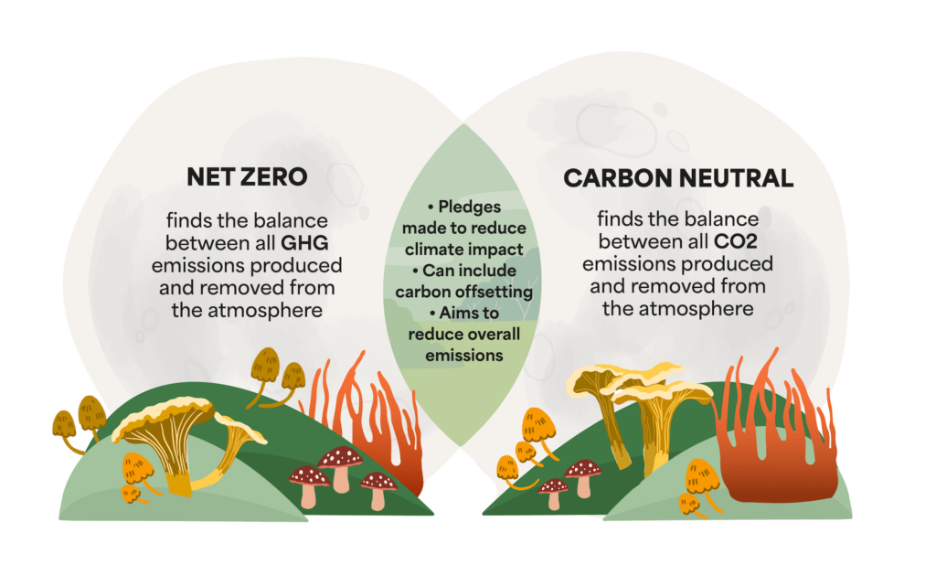 Carbon Neutral vs Net Zero: 2026 Difference & Meaning