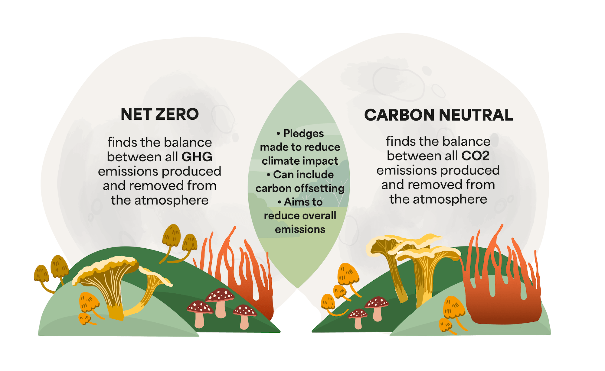 Carbon neutral vs net zero differences venn diagram