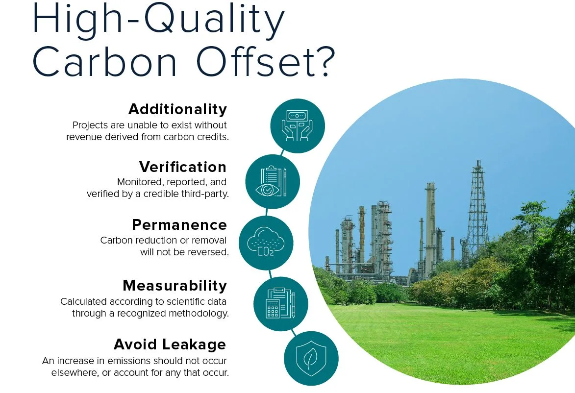 High Quality Carbon Offseting Visual Capitalist