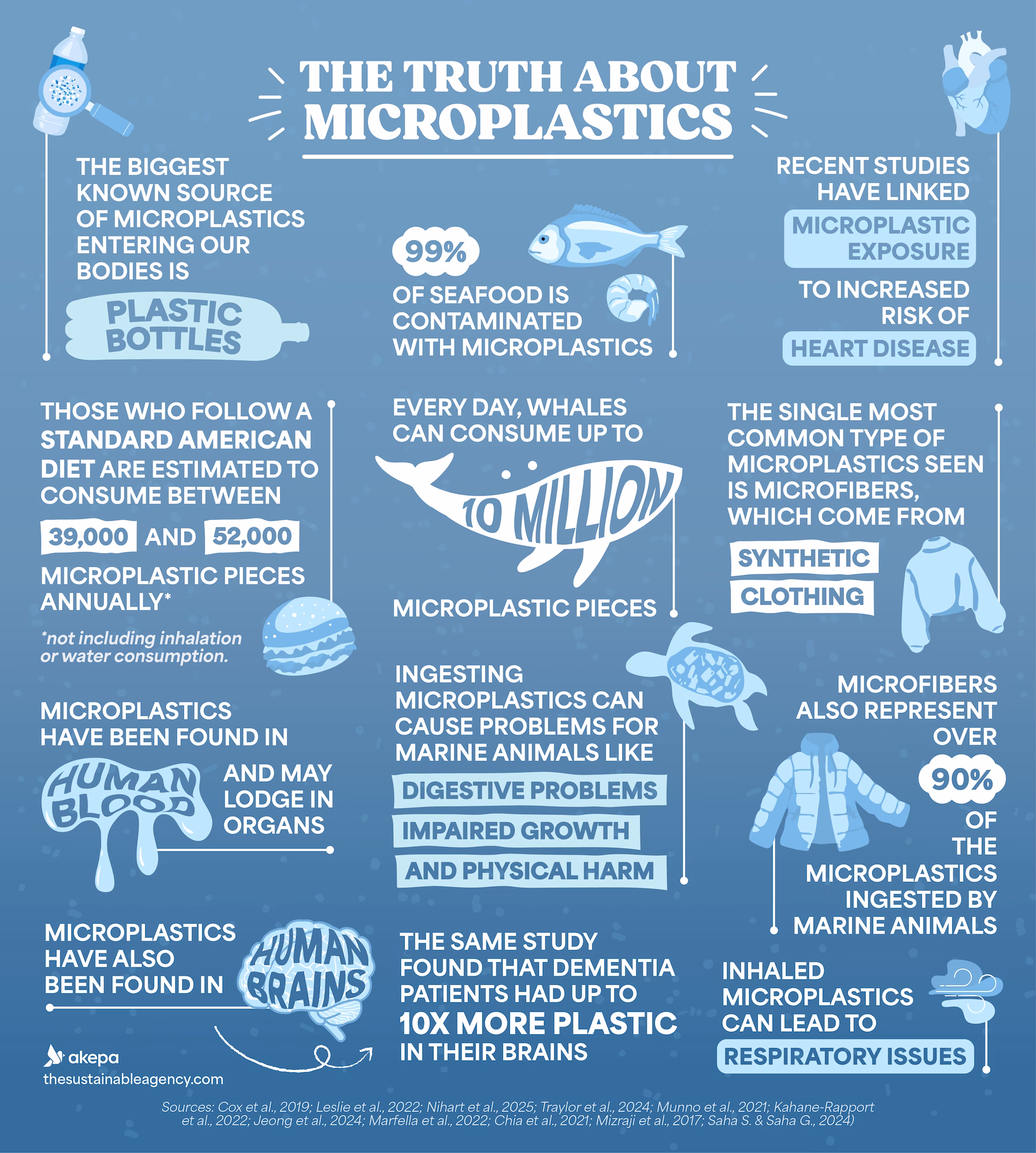 Environmental Impact of Microplastics | 2025 Stats & Facts Infographic