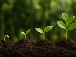 Climatemaxxing: a sustainability trend to watch?