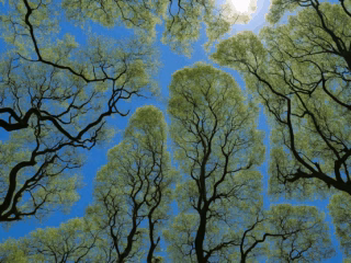 An interview with… Matchstick <br>on ethical outreach