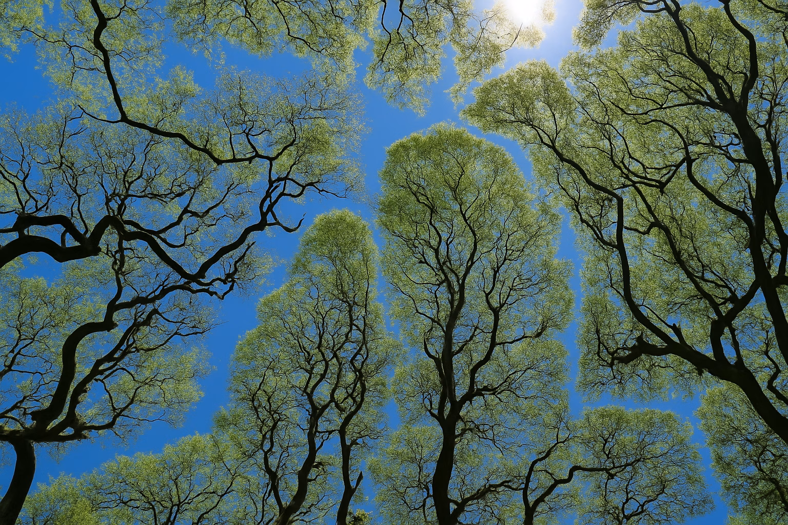 an interview with matchstick featured image