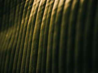 The hidden ways online companies can reduce their carbon footprint