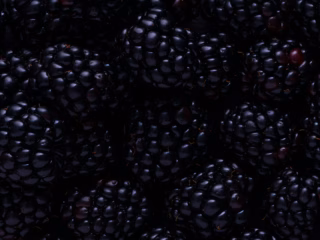 20+ facts & stats about food waste