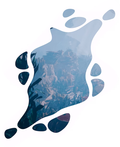 about Akepa - central banner image