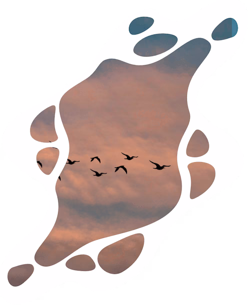 marketing localization services banner