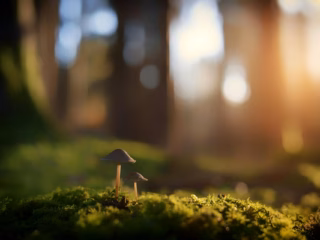 #QuitGPT & why ChatGPT shouldn’t be a synecdoche for GenAI