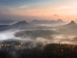 Climate lobbying: what it is, how it works, and terrible examples