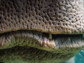 Green word of mouth: why it's the future of sustainability marketing