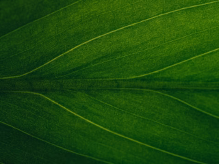How sustainable brands can build authority in AI search