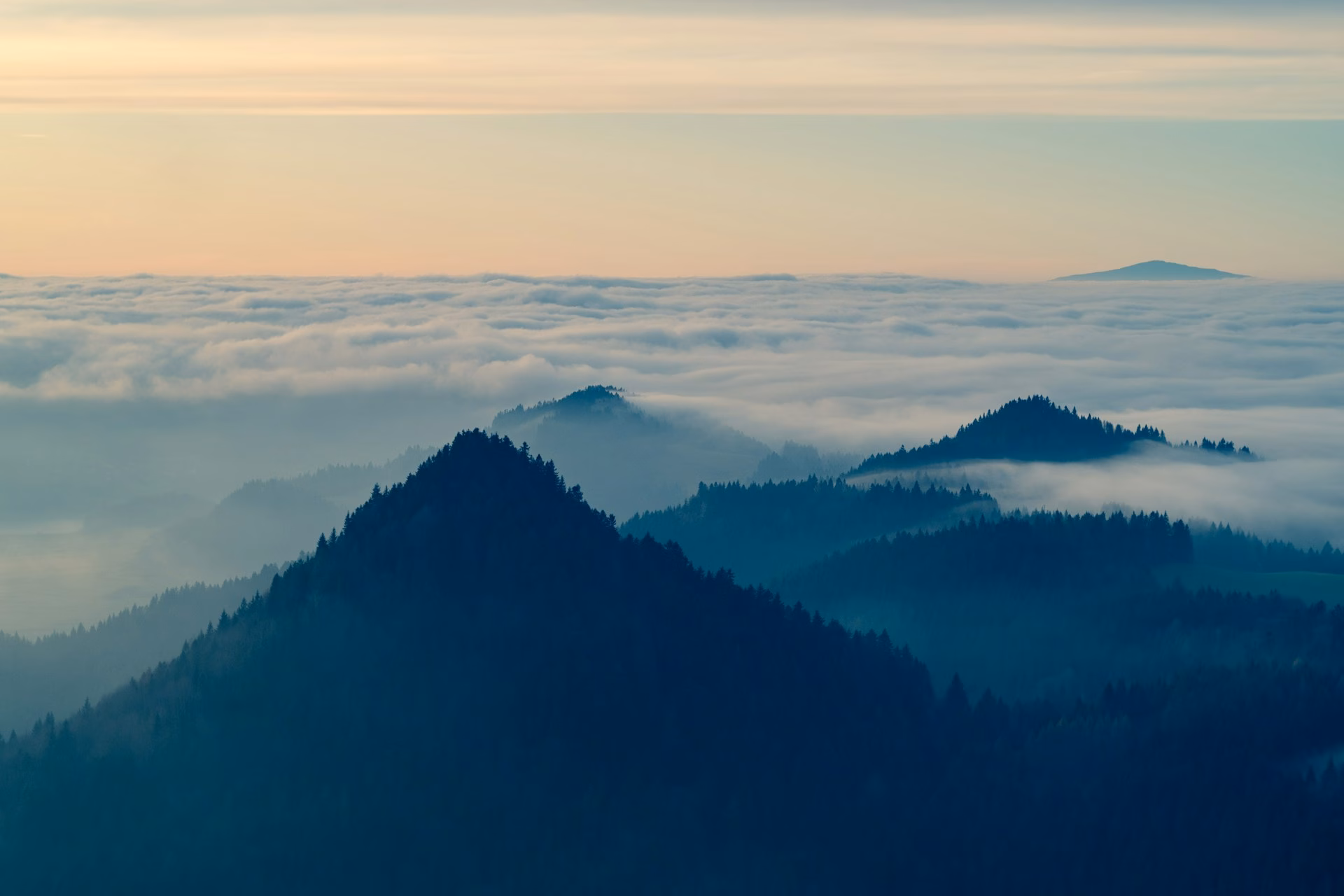 what is explainable AI featured image