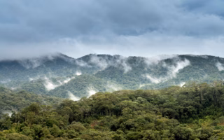 is b corp certification greenwashing featured image