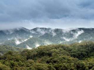 Is B Corp Certification greenwashing?<br/>A look at the case for and against...