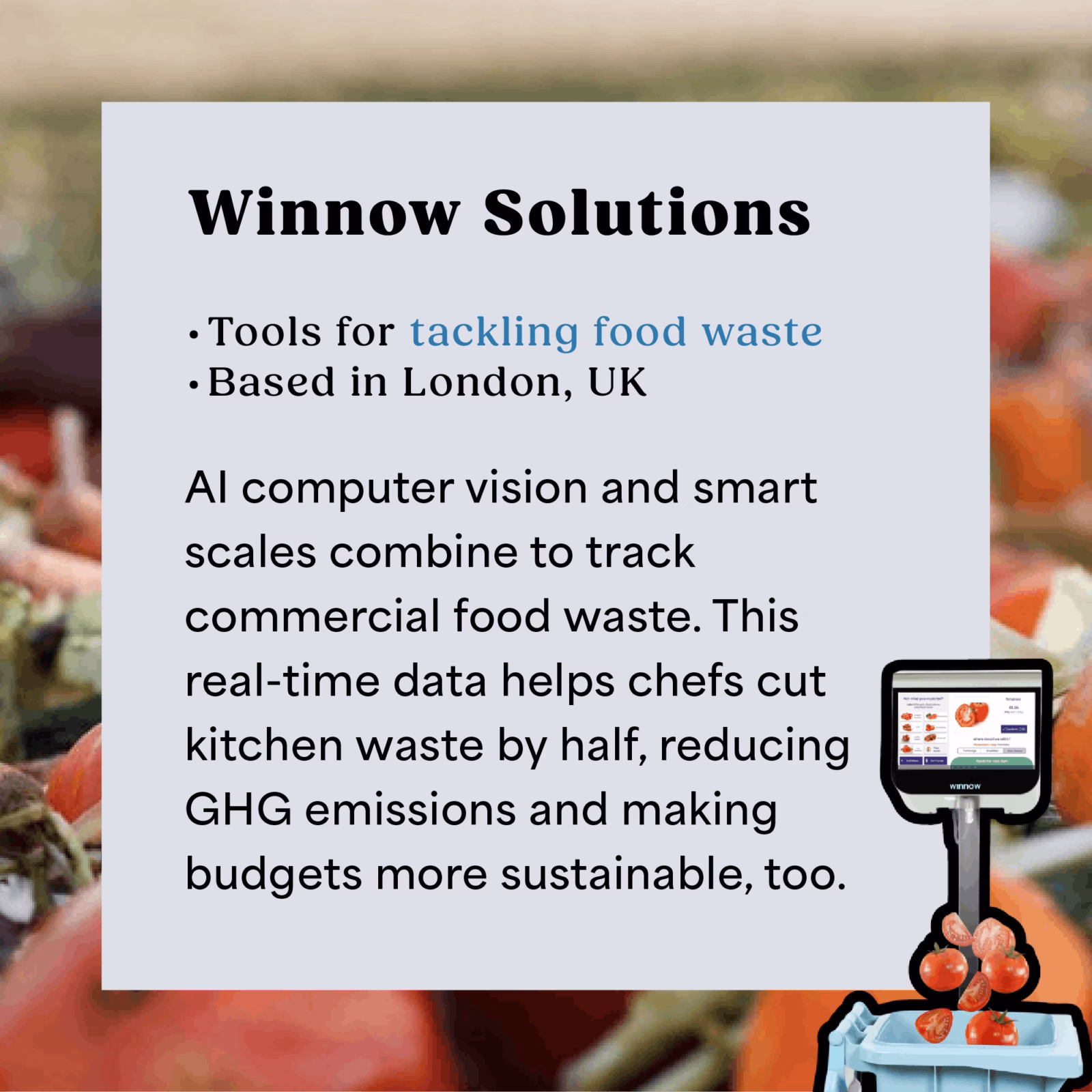 Winnow solutions - ai for good slideshow