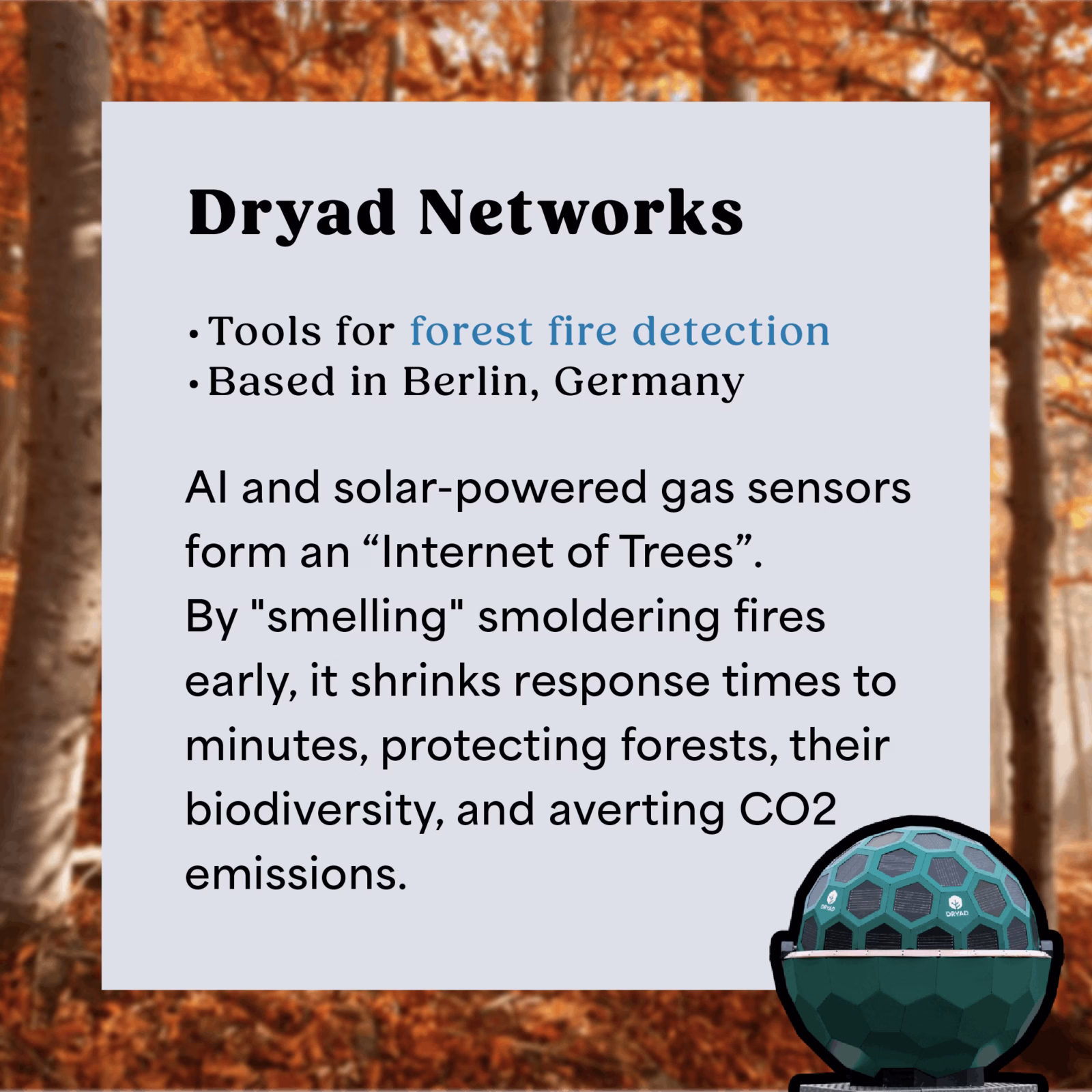 dryad networks